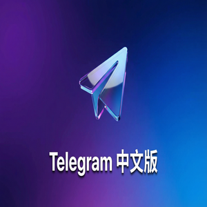 纸飞机中文版在隐私保护方面做得怎么样？深度解读（无套路） - Telegram 官网